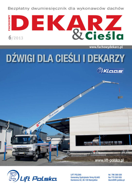 Fachowy Dekarz & Cieśla 2013-6 okładka
