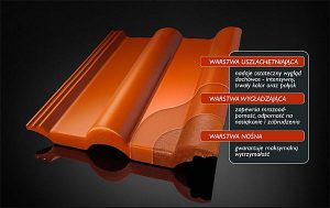 Cisar – technologia dla SUPERDACHU