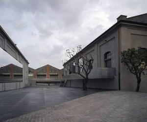 fundacja-pokryta-zlotem_21