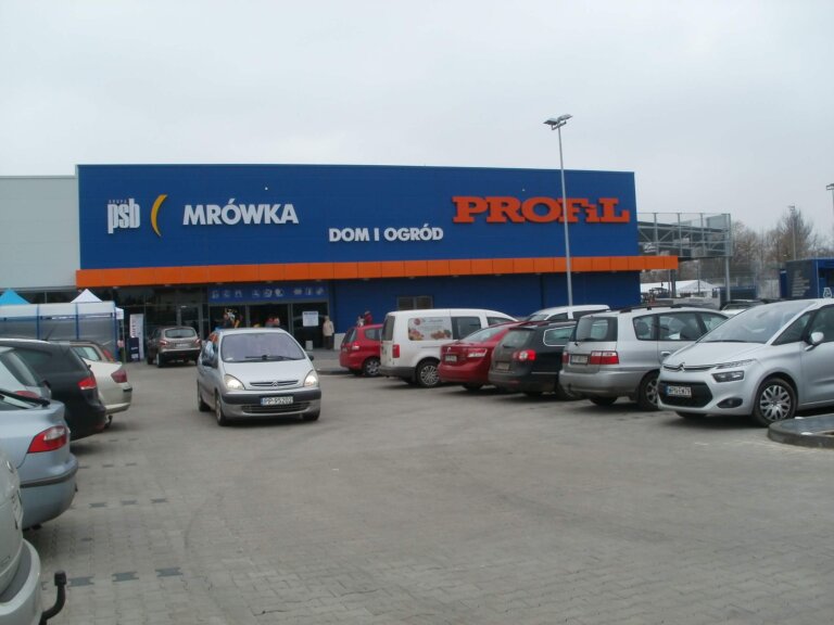 Mrowka Pila P3050086