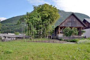 Alpine Barn Conversion by Ofis arhitekti 11