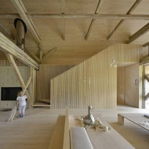 Alpine Barn Conversion by Ofis arhitekti 17