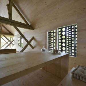 Alpine Barn Conversion by Ofis arhitekti 21