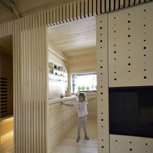 Alpine Barn Conversion by Ofis arhitekti 23