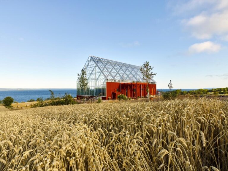 Uppgrenna Nature House Tailor Made Arkitekter designalivemag 4