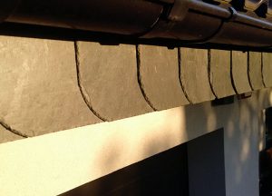 Łupkowa specjalizacja