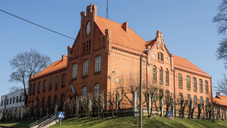 Dachówka Bornholm, naturalna.