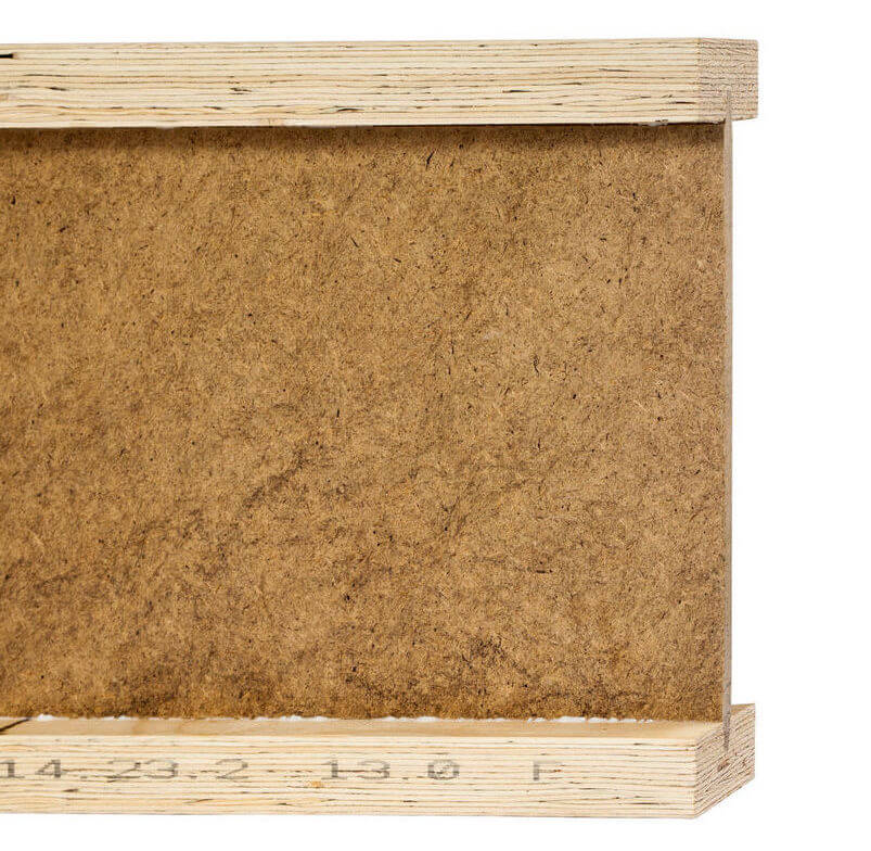 belki STEICOjoist