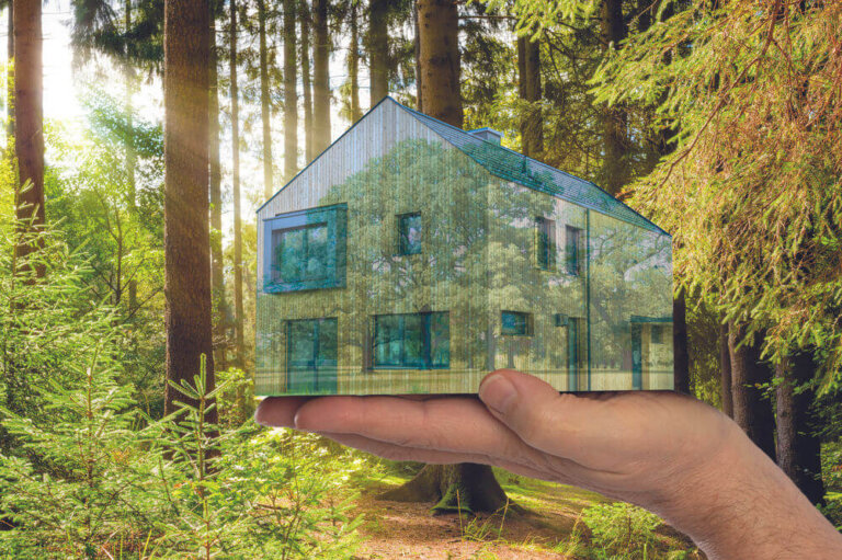 Build in wood