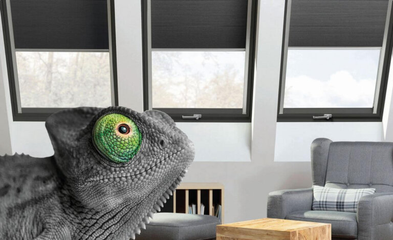 EKOlogicznie OKNA ALUMINIOWO-TWORZYWOWE od Fakro