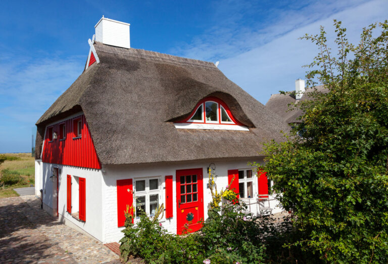 Trzcina na pokrycie dachu