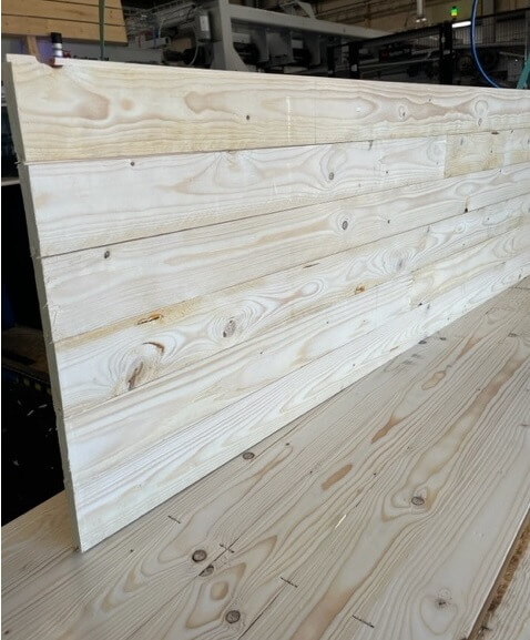 8. Panel Lity Dachowy