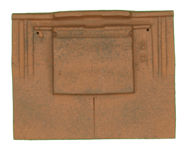 Dachówka NEOPLATE Edilians.