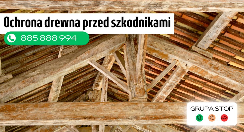 ochrona drewna przed szkodnikami grupastop
