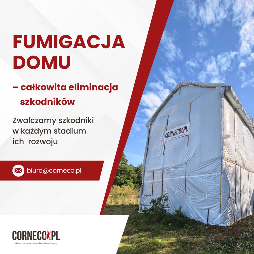 Fumigacja domu i więźby dachowej
