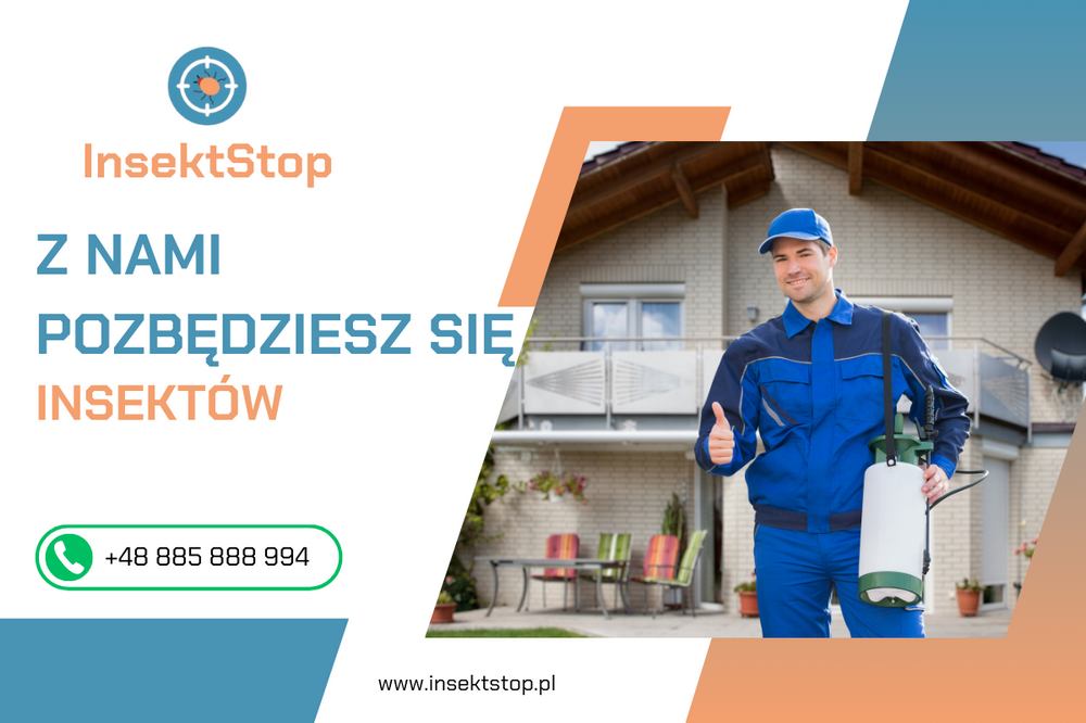 Pluskwy domowe – zwalczanie pluskiew insektstop.pl