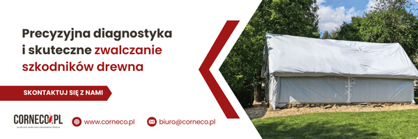 zwalczanie szkodników drewna corneco